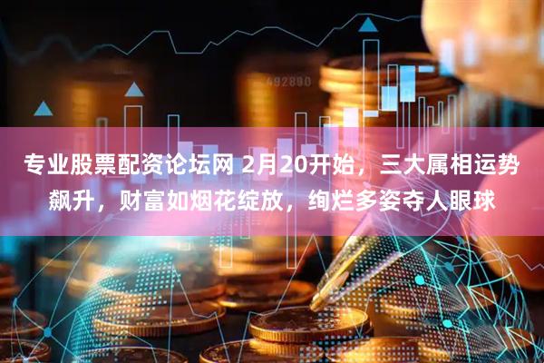专业股票配资论坛网 2月20开始，三大属相运势飙升，财富如烟花绽放，绚烂多姿夺人眼球